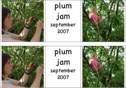 Plum Jam Label